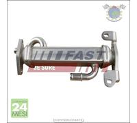 Radiatore Egr Fast per IVECO DAILY IV V