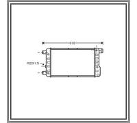 Prasco Radiatore Raffreddamento Motore FT017R001 Prascoselection per Fiat