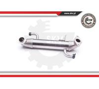 Radiatore gas di scarico 14SKV141 ESEN SKV per FORD TRANSIT Autobus