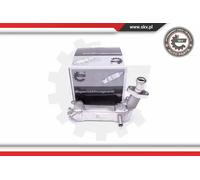 Radiatore gas di scarico 14SKV225 ESEN SKV per BMW 3 Touring X5 5 Touring X3 3 1