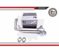 Radiatore gas di scarico 14SKV229 ESEN SKV per IVECO FIAT