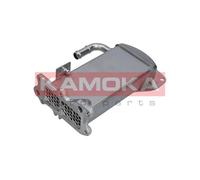 KAMOKA 19C067 Radiatore, Ricircolo gas scarico per AUDI,SEAT
