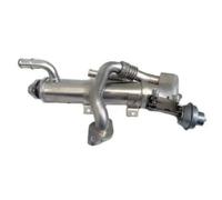 Radiatore gas di scarico 88343 MEAT & DORIA per AUDI A4 B7 Avant A4 B7 A6 C6