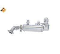 Radiatore gas di scarico Acciaio inossidabile 48353 NRF per FORD TRANSIT CONNECT