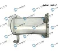 Radiatore gas di scarico DRM211125C Dr.Motor Automotive per VW AMAROK