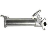 FAST FT60415 Radiatore EGR