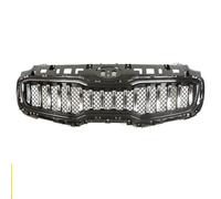 Radiatore Griglie Compatibile Con Kia Per KX5 Per Sportage 2016 2017 2018 2019 Accessori Per La Modifica Della Griglia Del Radiatore Della Griglia Paraurti Anteriore Dell'auto(Bright Chrome)