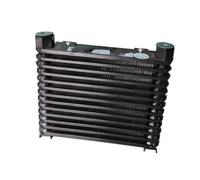 Radiatore idraulico/aletta di raffreddamento dell'aria AF0510T-CA Stazione idraulica Raffreddatore dell'aria 220/24 V/380 V/110/12 V Radiatore dell'olio Ampiamente applicabile(24V)