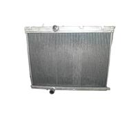 RADIATORE IN ALLUMINIO Compatibile Per PEUGEOT 206 GTI/RC 180 1999-2008 00 01 02 03 2000 2001 2002 2003 2004 2005 2006 2007 2008 99 04 05 06 07