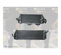 Radiatore In Alluminio Saldato Standard Lato Sinistro 32X11X3,5Cm Per Moto
