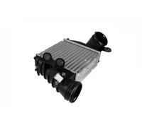 Radiatore intercooler 11450911101 vika per VW SEAT AUDI SKODA