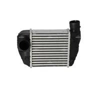 Radiatore intercooler 30015 NRF per AUDI A6 C6 A6 C6 Avant