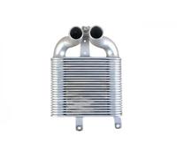 Intercooler NRF 30365