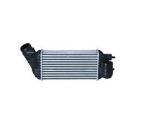 Radiatore intercooler 30376 NRF per CITROËN DS PEUGEOT