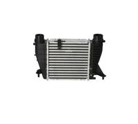 Radiatore intercooler 30507 NRF per RENAULT CLIO III MODUS / GRAND MODUS