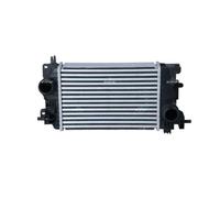 Radiatore intercooler 30534 NRF per OPEL MERIVA B VAN MERIVA B MPV / Space wagon