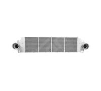 Radiatore intercooler 646 533 HART