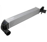Radiatore intercooler Alluminio CNG-AU-033 NTY