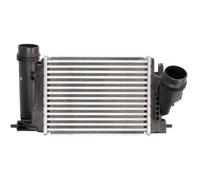 Thermotec Intercooler DA1005TT Alluminio per Nissan Qashqai II 1.6 dCi, X-Trail, Renault Kadjar