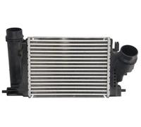 THERMOTEC DA1009TT Intercooler