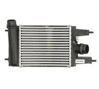 Thermotec Raffreddatore dell'aria di aspirazione DA1014TT per Nissan Juke 1.2
