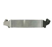 Intercooler THERMOTEC DA3001TT