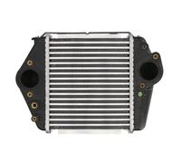 THERMOTEC Intercooler DA3004TT MAZDA,6 Station wagon (GH),6 (GH),6 2 volumi /Coda spiovente (GH)