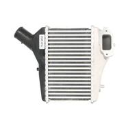 Intercooler THERMOTEC DA4004TT