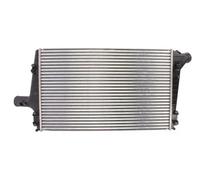 Intercooler THERMOTEC DAA004TT