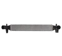 Intercooler THERMOTEC DAA006TT
