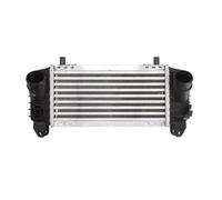 Radiatore intercooler Alluminio DAA007TT THERMOTEC per AUDI A2