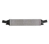 Radiatore intercooler Alluminio DAA012TT THERMOTEC per AUDI A6 C7 A6 C7 Avant Q5