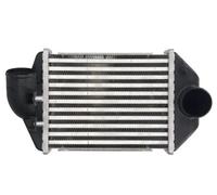 Thermotec Intercooler DAA028TT Alluminio per Audi A6 C5 Avant