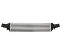 Intercooler THERMOTEC DAA032TT