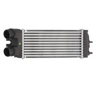 Intercooler THERMOTEC DAC002TT