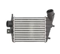 Intercooler THERMOTEC DAD001TT