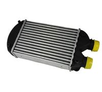 Intercooler THERMOTEC DAF002TT
