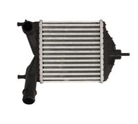 Intercooler THERMOTEC DAF014TT