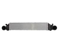 Intercooler THERMOTEC DAM005TT