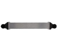 Intercooler THERMOTEC DAM007TT