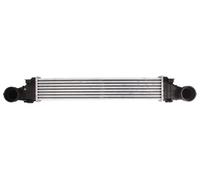 Intercooler THERMOTEC DAM011TT