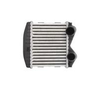 Intercooler THERMOTEC DAM012TT