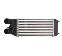 Intercooler THERMOTEC DAP003TT