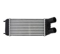Radiatore intercooler Alluminio DAP006TT THERMOTEC per PEUGEOT FIAT CITROËN