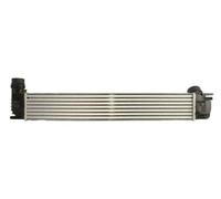 Intercooler THERMOTEC DAR021TT