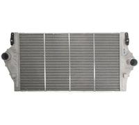 Radiatore intercooler Alluminio DAR025TT THERMOTEC per RENAULT VEL SATIS