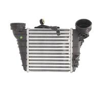 Thermotec Intercooler DAT001TT Alluminio per VW Polo 1.9 TDI, Seat Ibiza, Skoda
