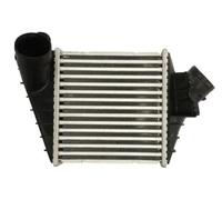 Intercooler THERMOTEC DAW015TT