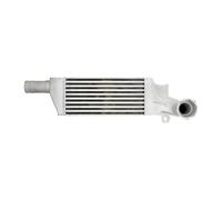THERMOTEC Intercooler DAX009TT per Opel/Vauxhall Combo Tour 1.3 (2004-)