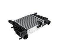 Radiatore intercooler CNG-NS-005 NTY per RENAULT NISSAN